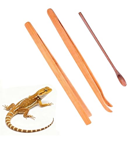 Amazon | Minarena ピンセット 爬虫類 28.5cm 竹 ピンセット 爬虫類 餌